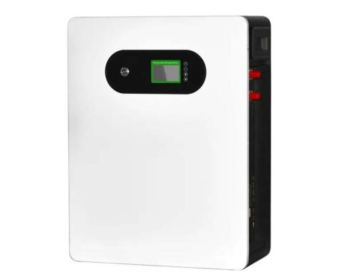 Wall-mounted LiFepo4 Battery 51.2V 100AH ~ 200AH